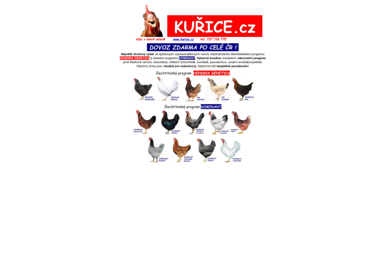 Nabídka prodeje kuřic