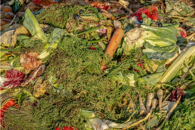 Kontejnery na bioodpad ještě zůstávají