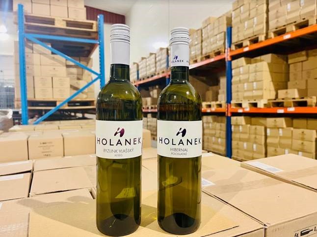Holanek-Vino