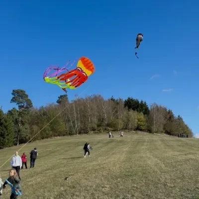 image-5173